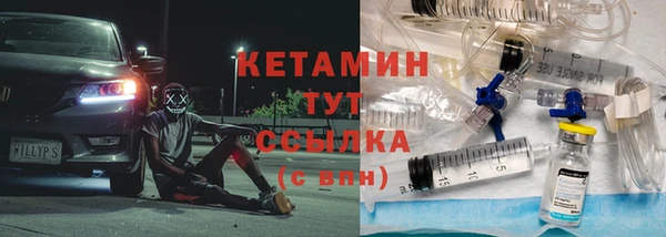 сатива Коряжма