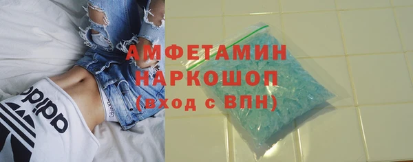 сатива Коряжма