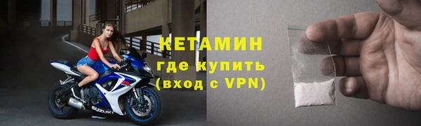 сатива Коряжма