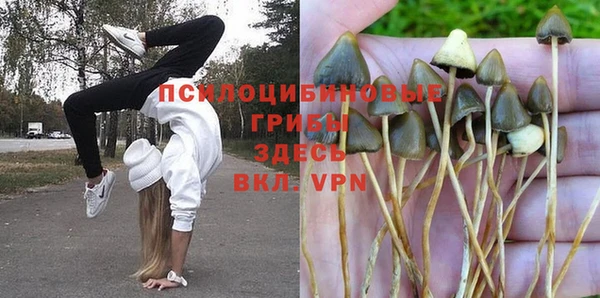 соль курить ск Костерёво
