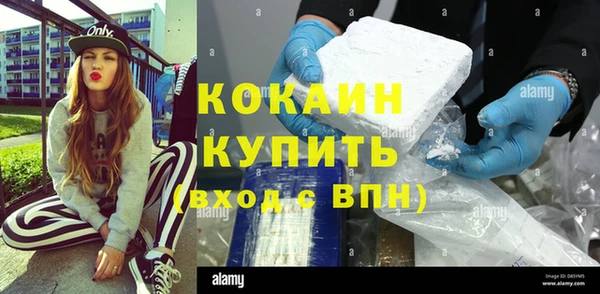сатива Коряжма