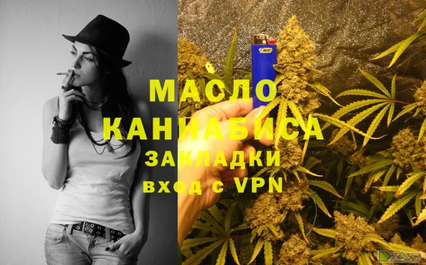 сатива Коряжма
