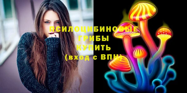 сатива Коряжма