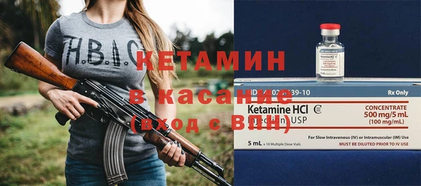 сатива Коряжма