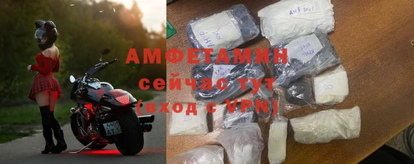 сатива Коряжма